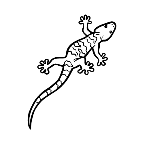 Lagarto